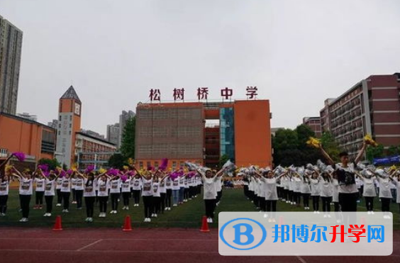 重庆松树桥中学校2021年报名条件、招生要求、招生对象 