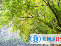 重庆市第八中学校2025年招生简章