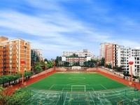 重庆市育才中学2024年排名