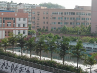 四川省内江市第六中学2025年招生代码