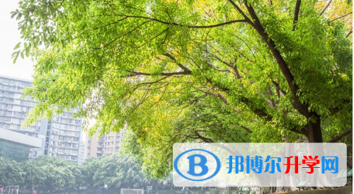 重庆南开中学2021年报名条件、招生要求、招生对象 