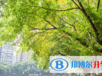 重庆南开中学2024年报名条件、招生要求、招生对象