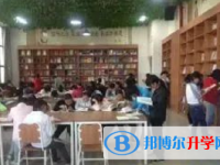 云南师范大学附属镇雄中学2024年招生简章