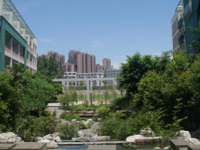 四川师范大学附属中学2025年招生代码