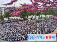 开阳县第三中学网站网址主页