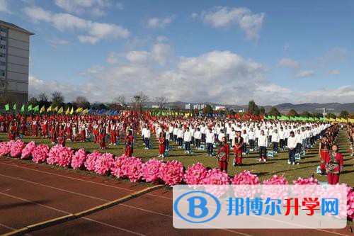 石林民族中学网站网址