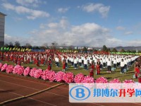 石林民族中学网站网址主页