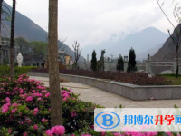 四川省泸定中学2025年排名