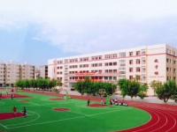 成都市青羊实验联合中学2025年招生代码