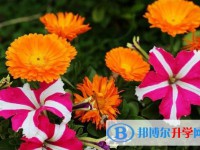 金川县中学校2025年招生代码