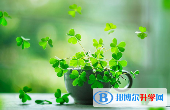 2021年咸阳中考顺序