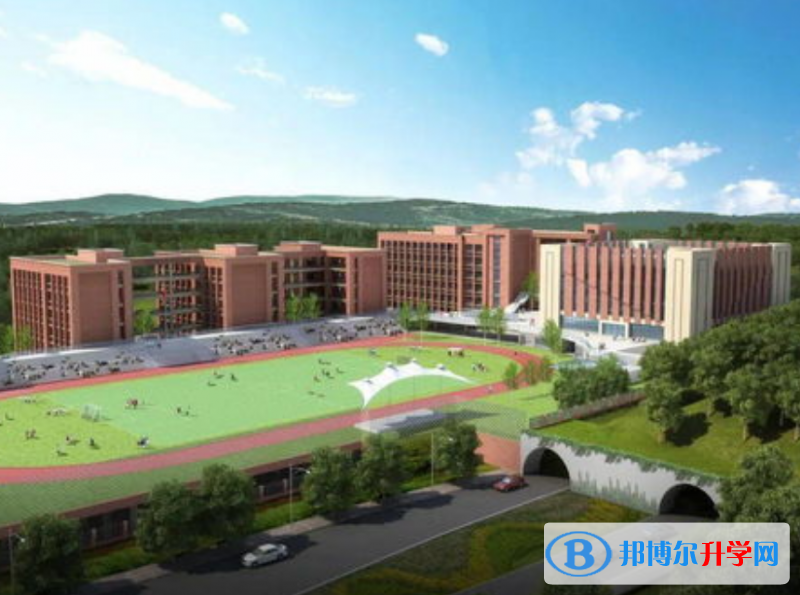 重庆市礼嘉中学校2021年招生录取分数线