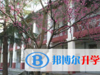 四川省南部县大坪中学2025年招生计划