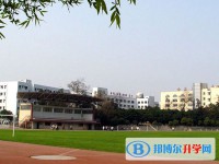 四川省绵阳南山中学2025年招生代码