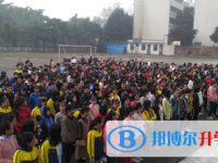 眉山市东坡区多悦高级中学2025年招生计划