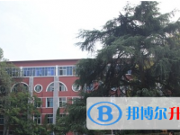 重庆市南坪中学校网站网址主页