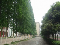 眉山市东坡区多悦高级中学2025年排名