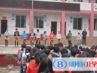 乐至至宝林中学2025年排名