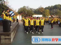 乐至至宝林中学网站网址主页