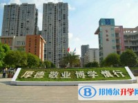 巴州区第四中学2025年招生代码
