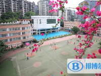 重庆史迪威外语校2024年排名