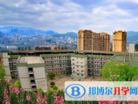 攀枝花市第十五中学2025年报名条件、招生要求、招生对象