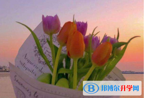 2021年咸阳中考体考标准