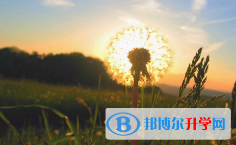 2021年渭南中考报名号