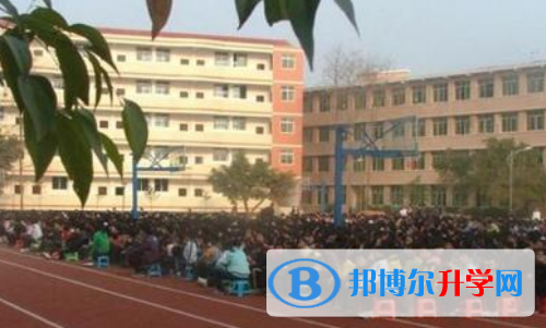 重庆市大足中学网站网址