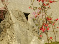 四川省兴文第二中学校2025年排名