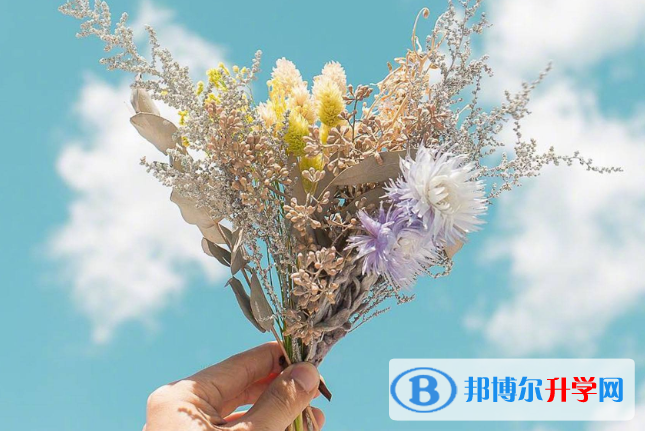 2021年广元中考网上报名