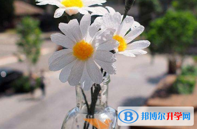 2021年攀枝花中考查询总成绩