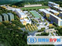 平塘民族中学2023年招生录取分数线