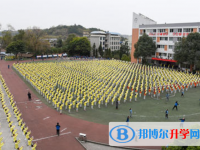 简阳市石桥中学网站网址主页