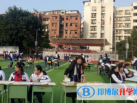 四川省安岳实验中学2024年招生代码