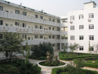 成都市树德实验中学2025年招生代码