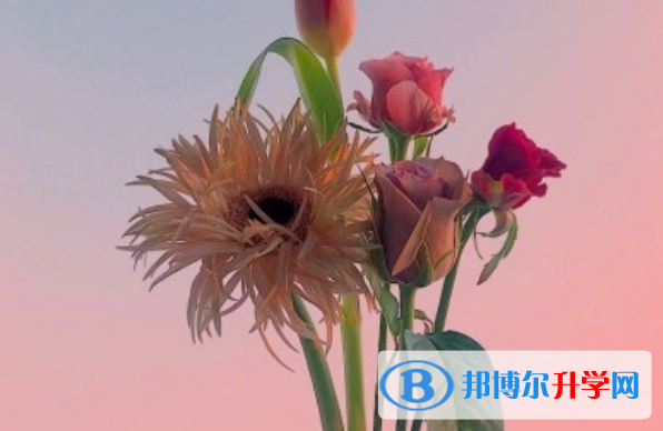 2021年咸阳中考准考证丢了怎么办