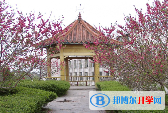 四川省乐至中学2022年报名条件、招生要求、招生对象