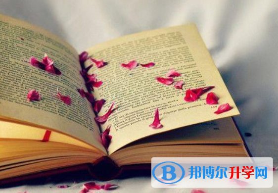 重庆中考453可以读哪些学校