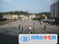 四川省资阳市安岳县兴隆中学2024年学费、收费多少