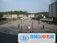 四川省资阳市安岳县兴隆中学2025年学费、收费多少