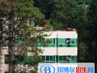 普格县中学校2025年学费、收费多少