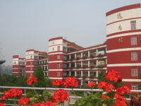 宜宾市第三中学校2025年排名