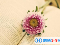 成都中考自主招生报名有哪些学校