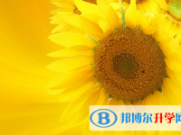 成都中考招生学校
