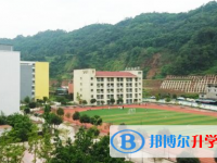 雅安市强项双语中学2025年招生办联系电话