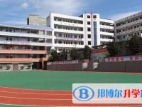 四川省通江中学2024年排名