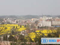 仁寿县龙马中学2025年学费、收费多少