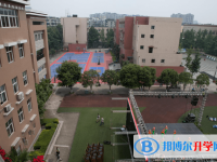 四川省成都西藏中学网站网址主页