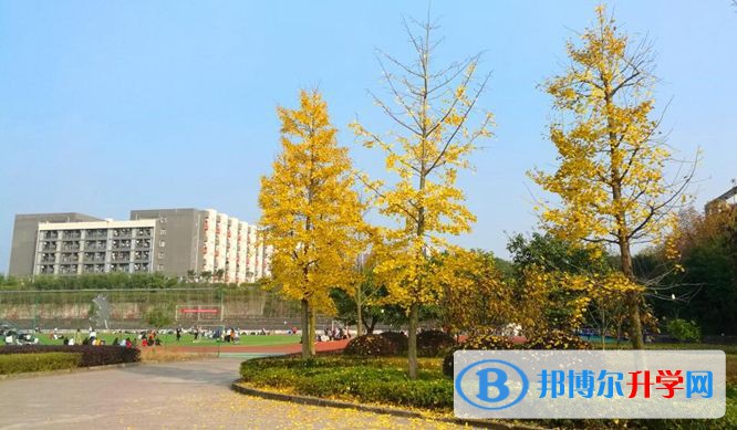 四川省广安恒升中学2022年学费、收费多少